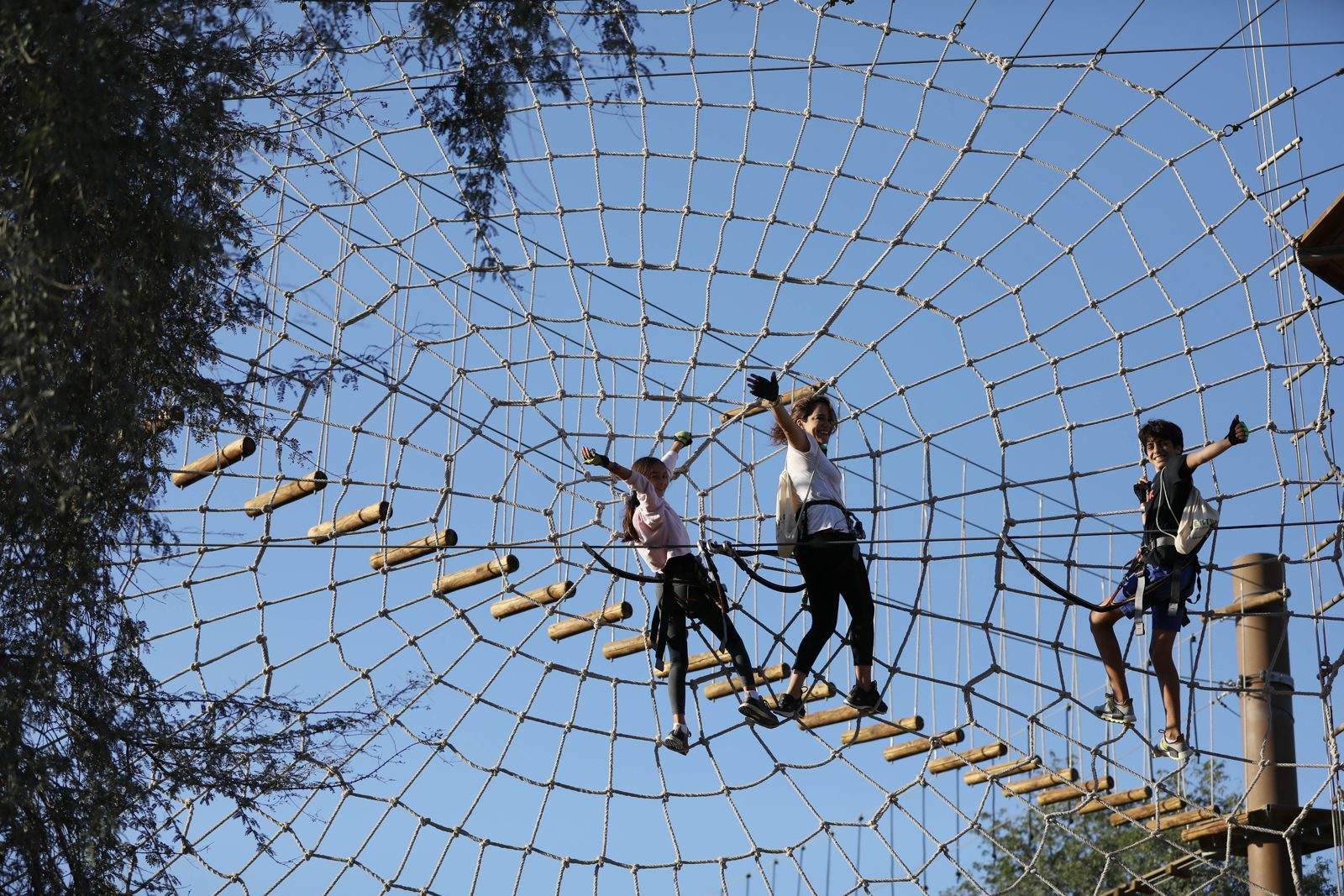 Visitors crossing a rope web obstacle among the trees at Aventura Parks, Mushrif Park