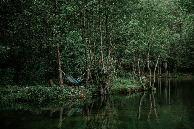 A hammock hung between trees beside a still, dark green lake